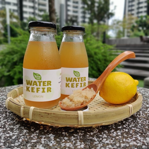The Kefir King - Lemon Water Kefir
